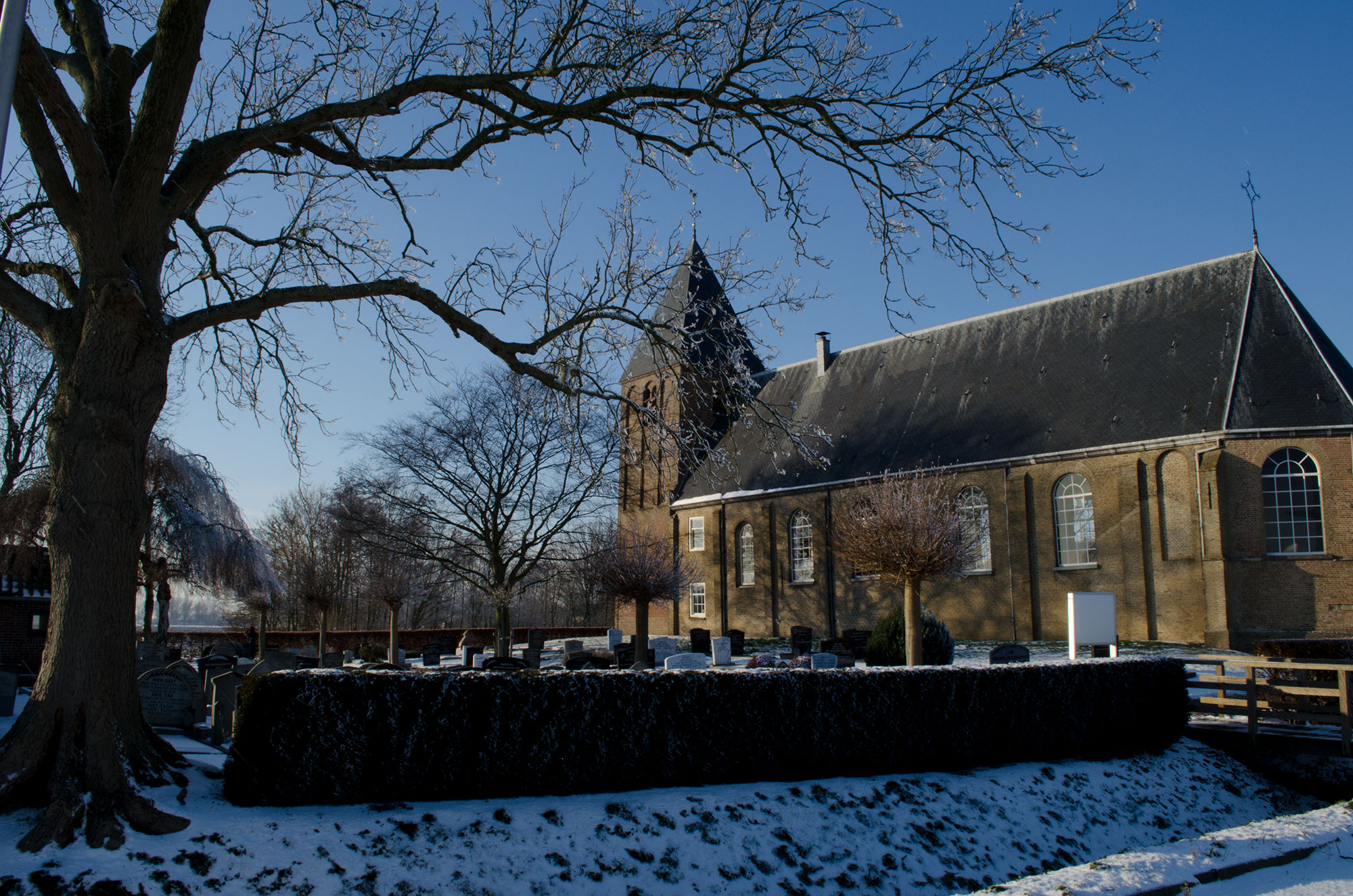 _DSC0092